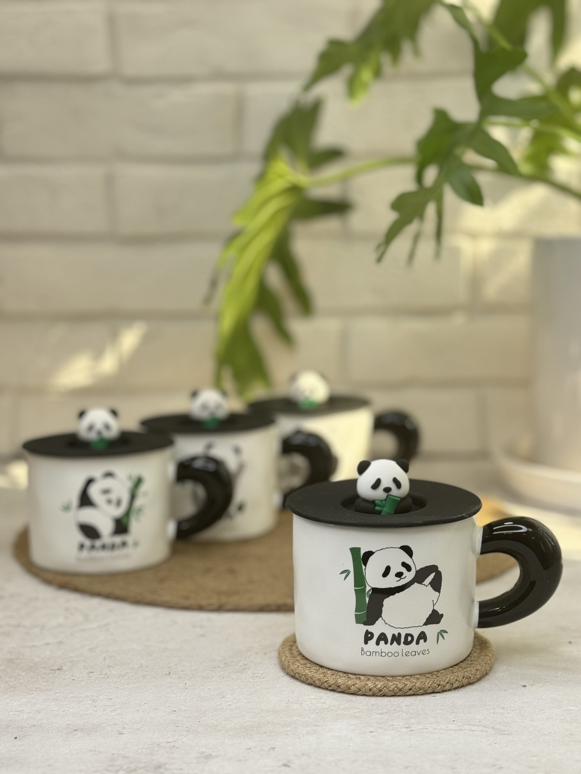 2025_02_19_13_07_IMG_1570