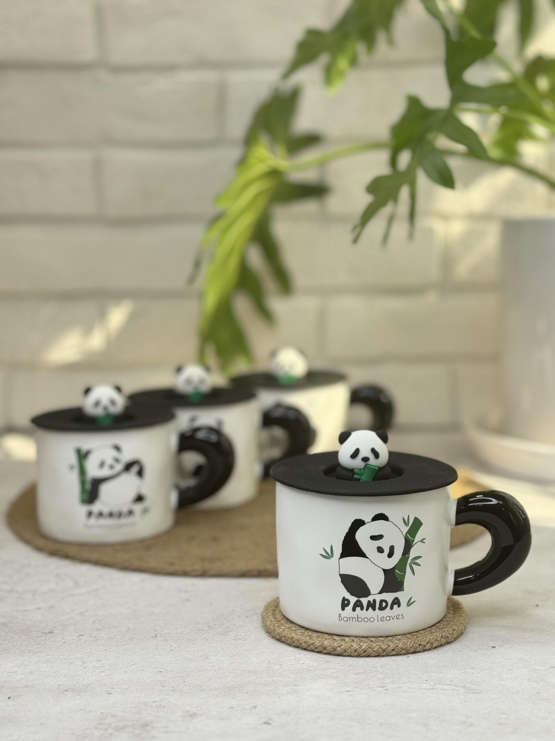 2025_02_19_13_08_IMG_1571