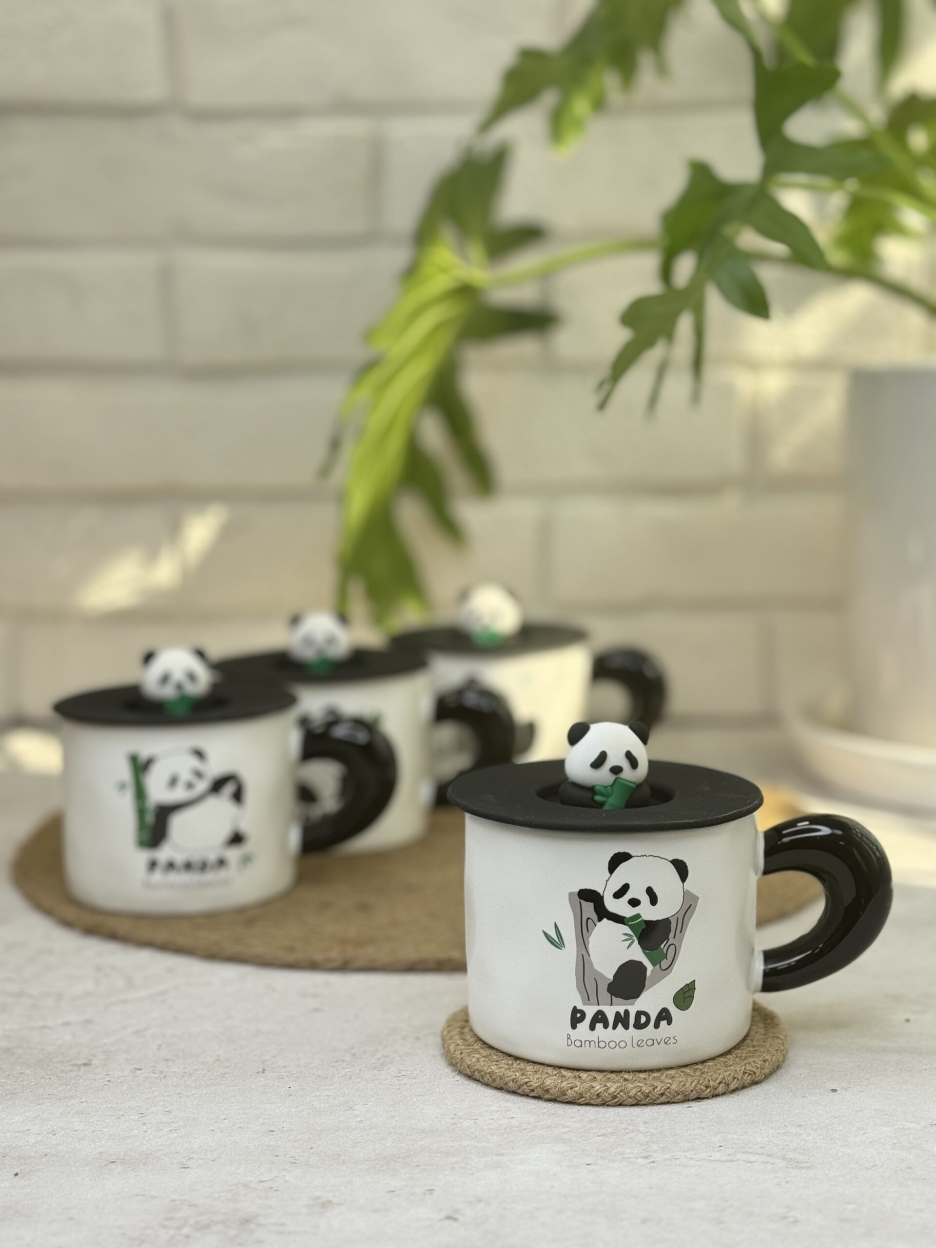 2025_02_19_13_08_IMG_1572