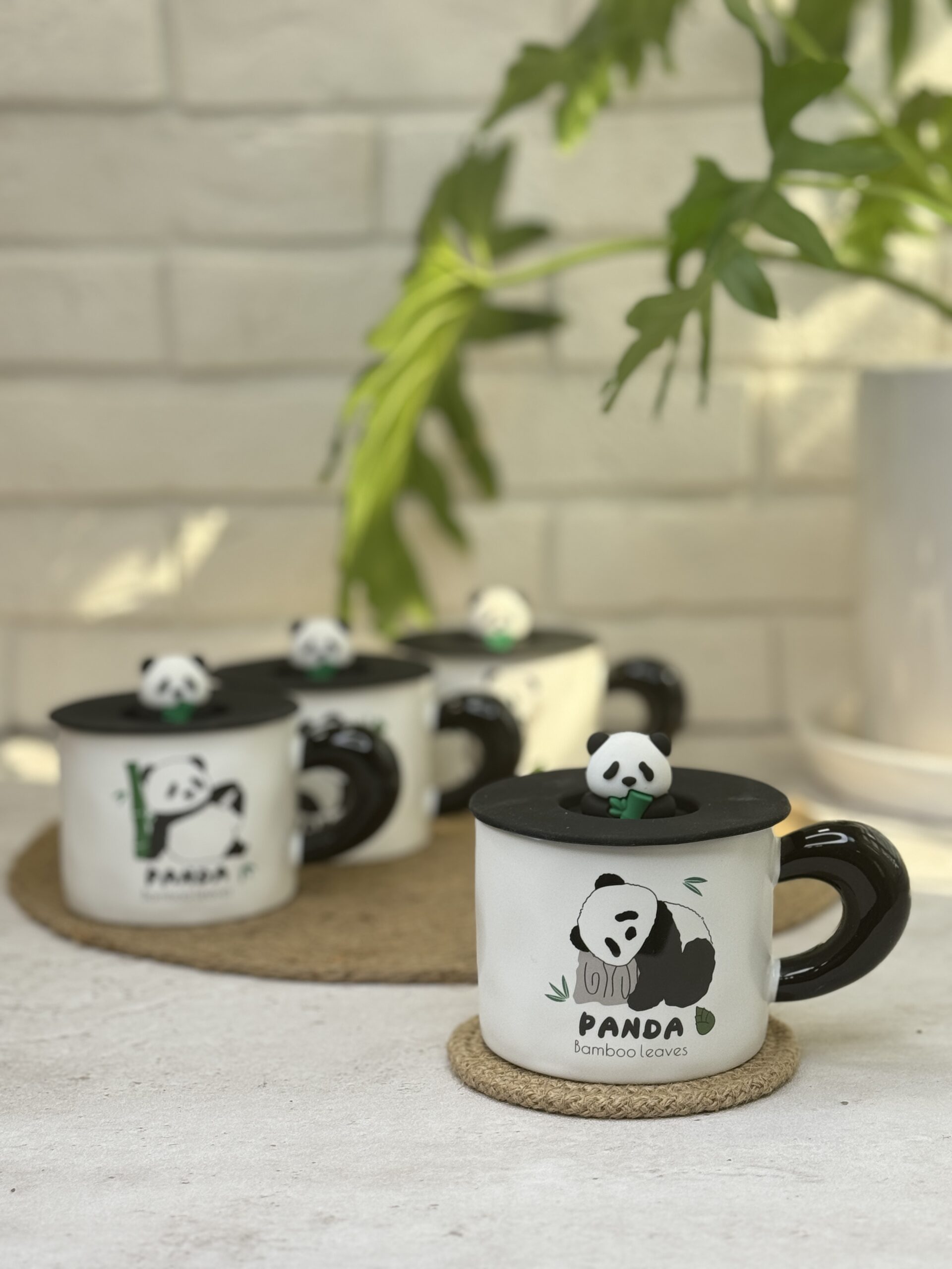 2025_02_19_13_08_IMG_1573