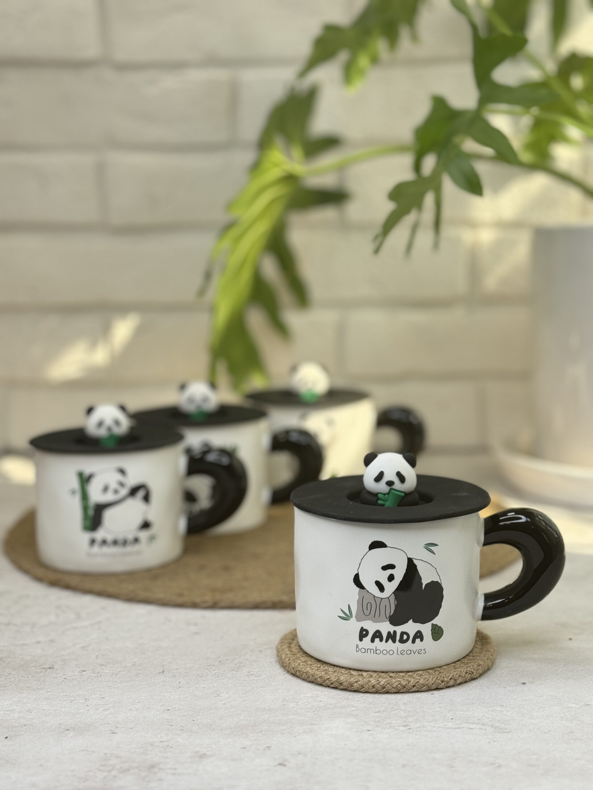 2025_02_19_13_08_IMG_1574